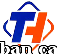 Điện Khí Thái Hằng