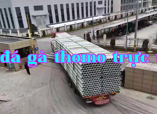 Dự án kỹ thuật Thái Hằng