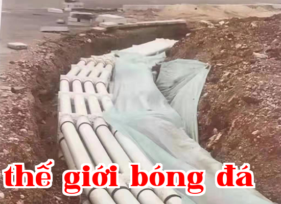 Dự án kỹ thuật Thái Hằng