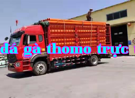 Dự án kỹ thuật Thái Hằng