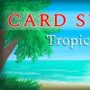 《生计卡：热带岛屿 Card Survival: Tropical Island》英文版百度云迅雷下载v1.02f